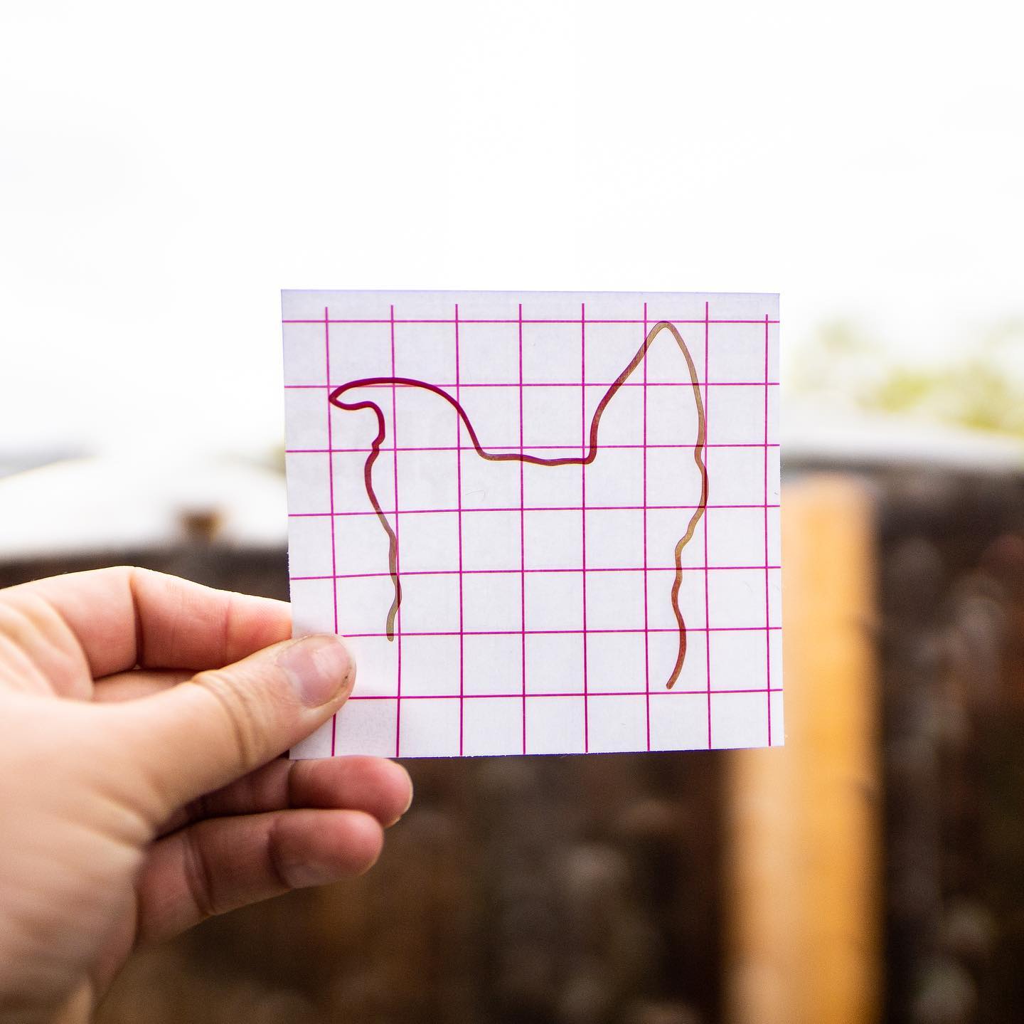 Custom Dog Outline decal