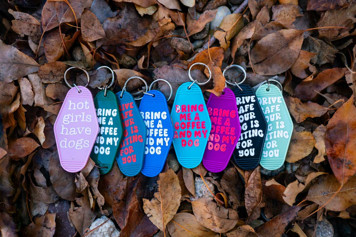 Drive safe your dog is waiting keychain