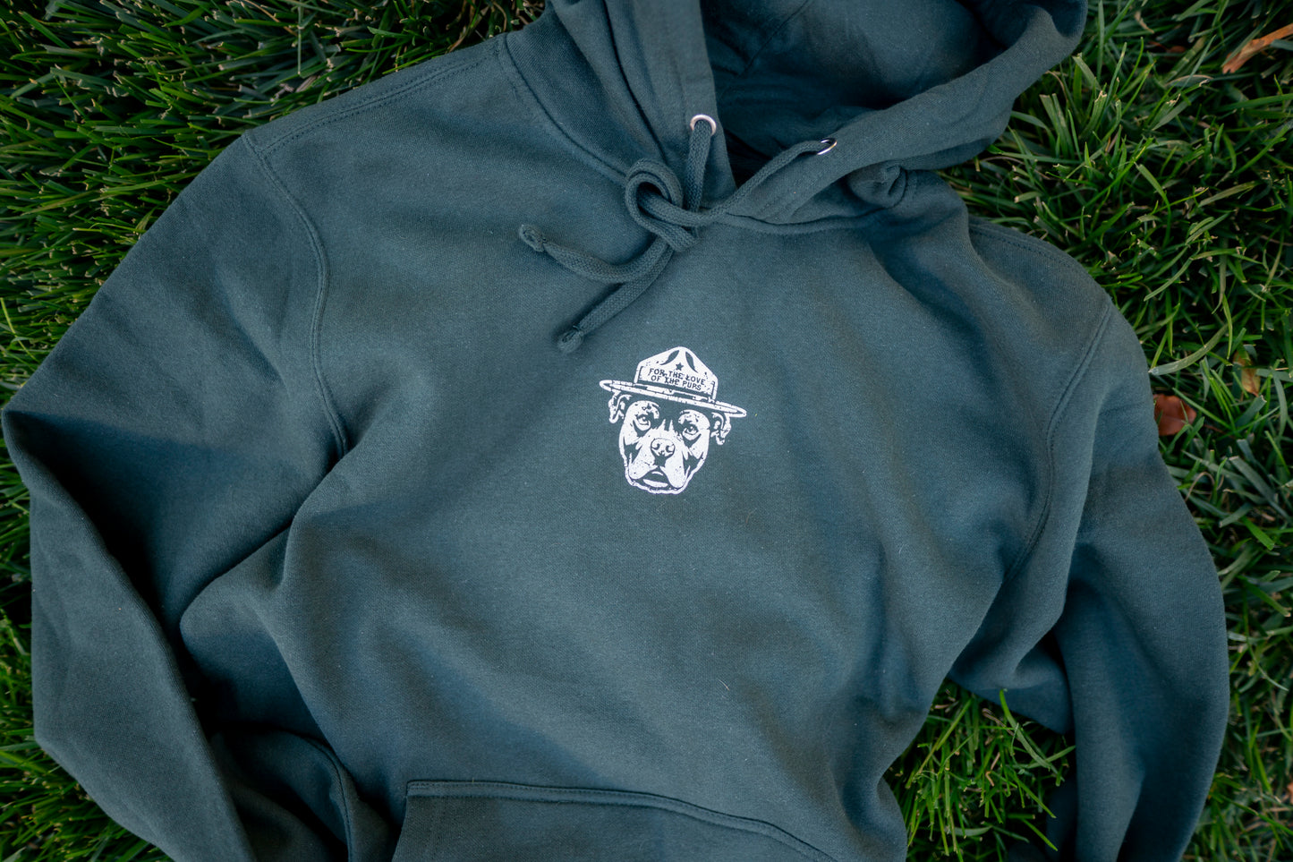 Adopt Foster Rescue Love Advocate hoodie